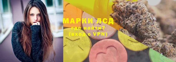 Альфа ПВП Верея