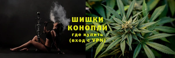 Альфа ПВП Верея