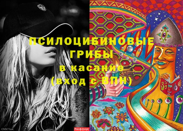 гидропоника Верхнеуральск